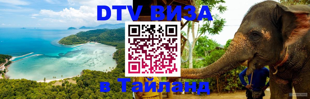 Оформление DTV визы под ключ: стоимость и тарифы, только загранпаспорт - Бердск 